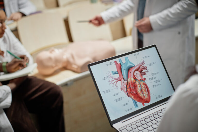Closeup of anatomical heart diagram on laptop with torso dummy and professor teaching CPR in background.
