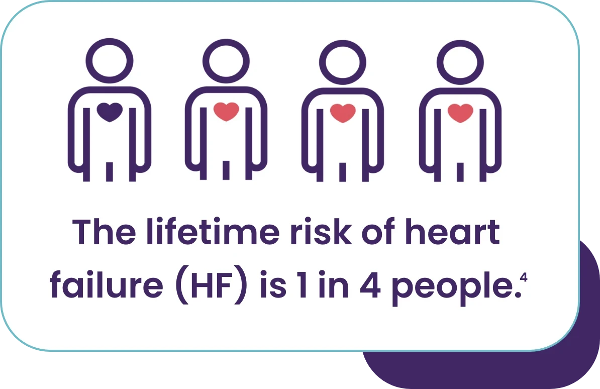 Infographic stating: The lifetime risk of heart failure (HF) is 1 in 4 people. Illustrated with four person icons, one with a purple heart and three with red hearts.